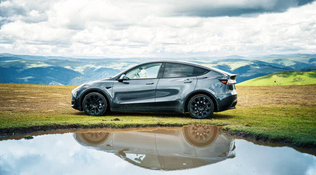 Model Y